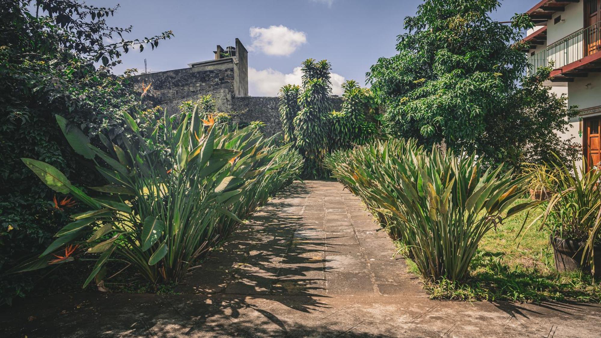 Hotel Montecillo Coatepec  Bagian luar foto